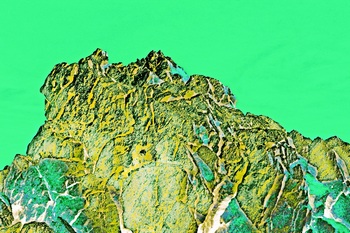 L 031C
